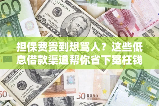 北京担保费贵到想骂人？这些低息借款渠道帮你省下冤枉钱