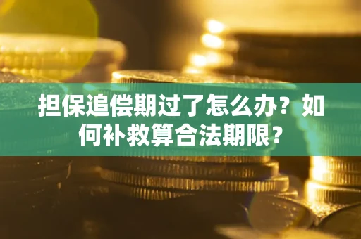 北京担保追偿期过了怎么办？如何补救算合法期限？