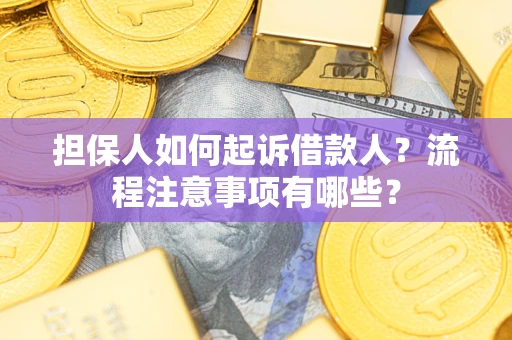 北京担保人如何起诉借款人？流程注意事项有哪些？
